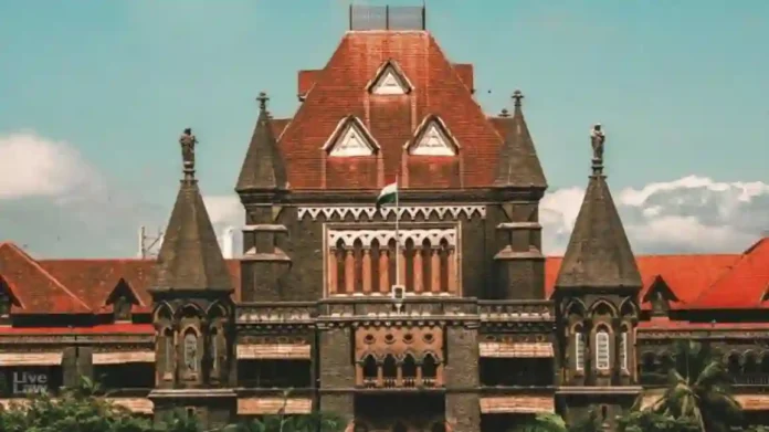 Bombay High Court : पावसामुळे पूरस्थिती, या याचिकेवर न्यायालय म्हणतं, 'आता काय देवाला आदेश देऊ?'