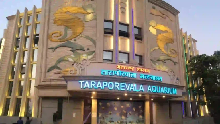 Taraporewala Aquarium : तारापोरवाला मत्स्यालयाची वैशिष्ट्ये काय?