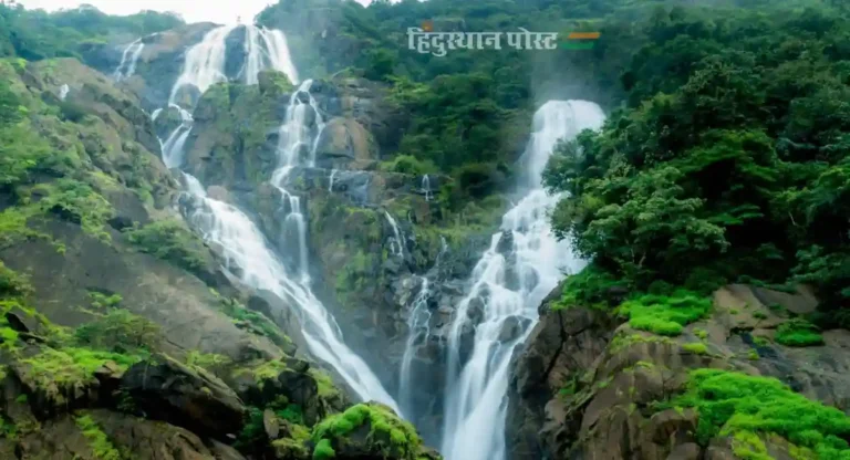 Dudhsagar Waterfall Trek : ट्रेकिंगला जायचंय? मग दूधसागर धबधब्याबद्दलची ही माहिती वाचा!