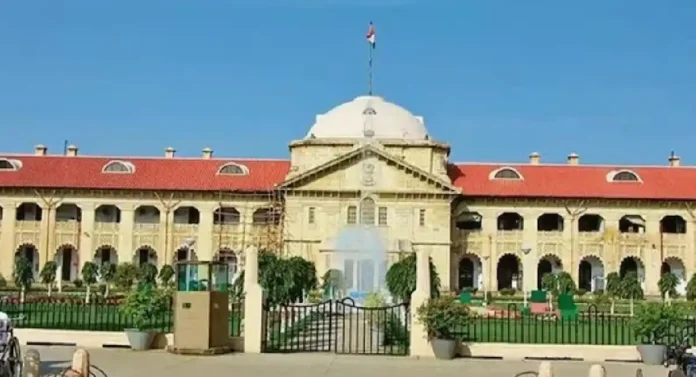 अविवाहित मुलीला सांभाळण्याची जबाबदारी वडिलांची; Allahabad High Court चा निर्वाळा