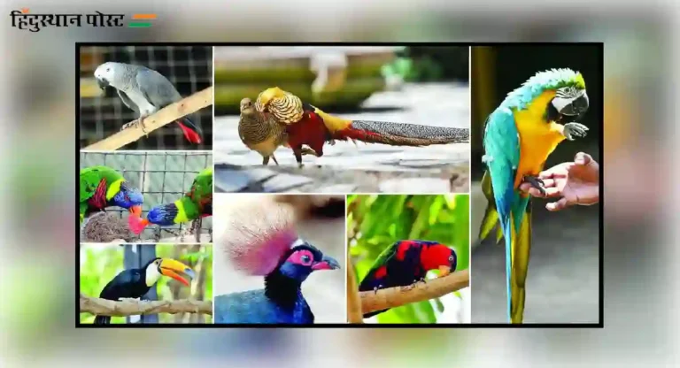 मुलुंडमध्ये Bird Park चा मार्ग मोकळा; ‘त्या’ जागेवरील उद्यानाचे आरक्षण रद्द