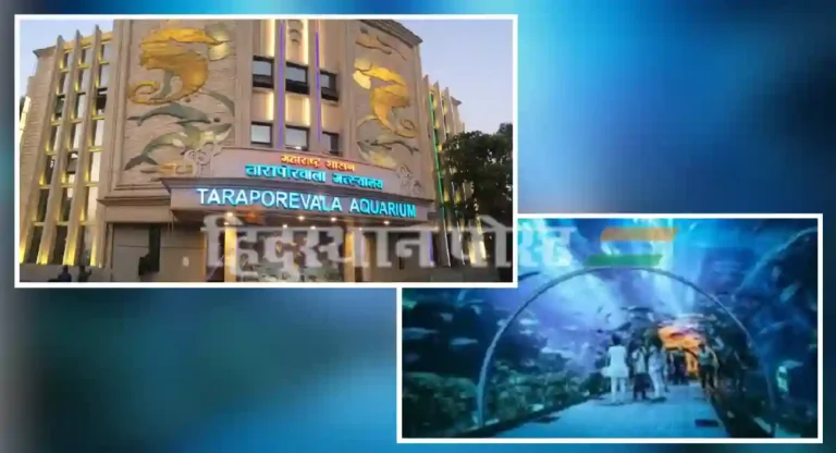 taraporewala aquarium : तारापोरवाला मत्स्यालयात कोणकोणते मासे पाहू शकाल?