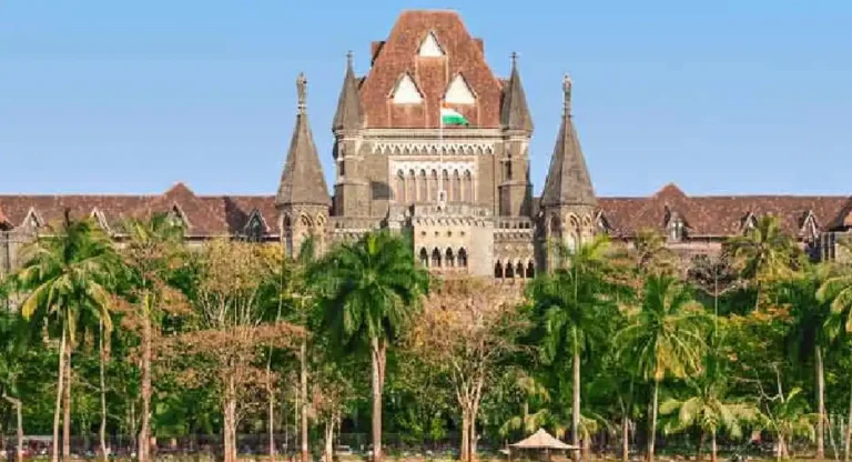 फेरीवाल्यांच्या मुद्द्याचा ‘विनोद’ केला आहे; Bombay High Court ने सरकार, महापालिकेला फटकारले