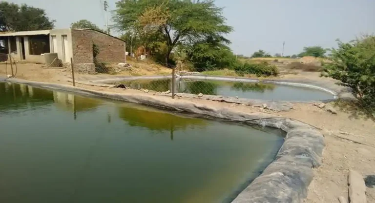 Jalyukt Shivar योजनेच्या प्रभावी अंमलबजावणीसाठी ‘या’ फाऊंडेशन सोबत करार झाल्याची राज्य सरकारची घोषणा