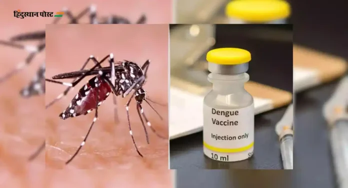 Dengue vaccine: डेंग्यूची लस पुढील वर्षी भारतात येणार, तिसऱ्या टप्प्याची चाचणी सुरू