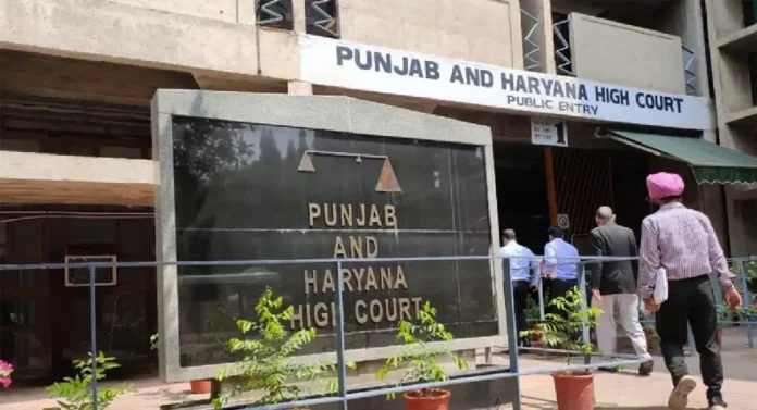 लोकप्रतिनिधींना शैक्षणिक पात्रता का नाही; Punjab-Haryana High Court ने व्यक्त केली खंत