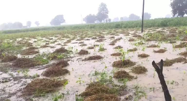 Marathwada Rain: मराठवाड्यात पावसाने हाहाःकार; जालन्यात अतिवृष्टीमुळे गावांचा संपर्क तुटला