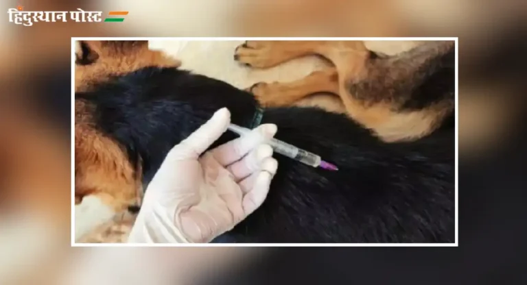 Rabies Free Mumbai साठी आता शाळांमधून जनजागृती