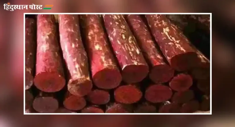 Red Sandalwood Smuggling : १० कोटींच्या रक्तचंदनाची तस्करी करणार्‍यांना अटक