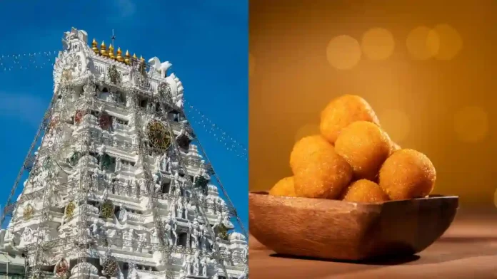 Tirupati Balaji Prasad : तिरुपती मंदिरातील प्रसादामध्ये जनावरांच्या चरबीचा वापर झाला होता का? प्रयोगशाळेतील रिपोर्टमधून सत्य उघड