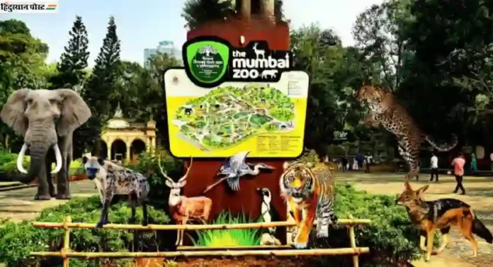 तुम्ही मुंबईच्या Jijamata Udyan Zoo मध्ये जाण्याचा विचारात आहात ? मग या प्राणीसंग्रहालयाची तिकीट जाणून घ्या