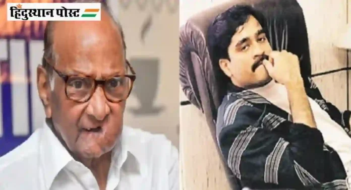 Sharad Pawar आणि दाऊद यांची दुबईत भेट; प्रकाश आंबेडकरांआधी कुणी केला होता दावा?