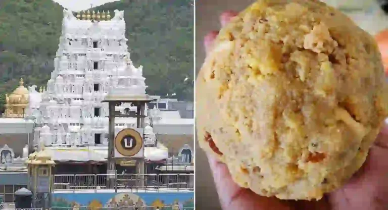 Tirupati Laddu Prasad Adulteration प्रकरणाचा तपास तात्पुरता थांबवला