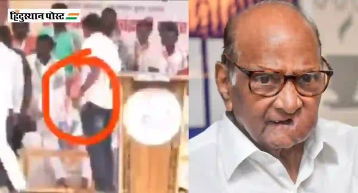 Sharad Pawar यांनी इचलकरंजीत केला शिवरायांचा अवमान; शेफाली वैद्य यांनी केली टीका