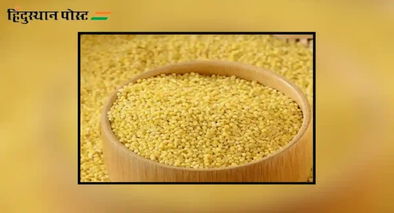 foxtail millet : फॉक्सटेल बाजरी म्हणजे काय आणि आहेत या चमत्कारीक धान्याचे फायदे?