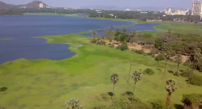 Powai Lake : पवई तलावाचे वैशिष्ट्य काय आहे?