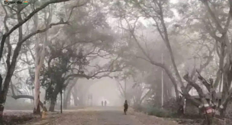 Weather Update: मुंबईत गुलाबी थंडीची चाहूल; तर नाशिक, पुणे गारठलं!