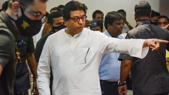 Maharashtra Vidhan Sabha Election 2024: अमित ठाकरेंना मतदान करून कसं वाटलं? Raj Thackeray म्हणाले...