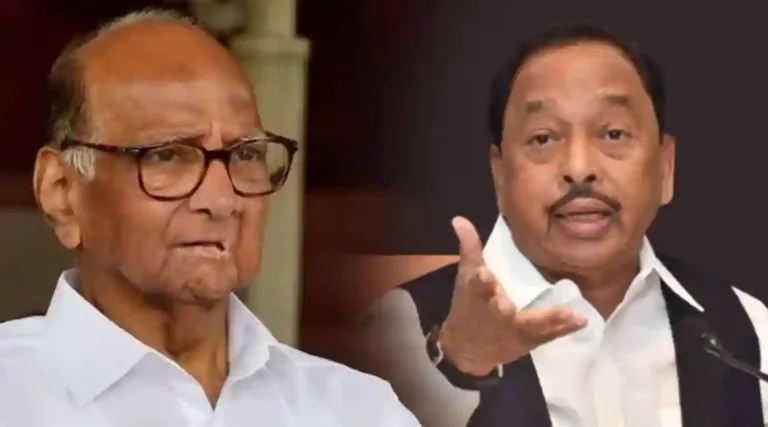 विधानसभेच्या निकालानंतर Sharad Pawar महायुतीसोबत; Narayan Rane यांच्या दाव्याने खळबळ