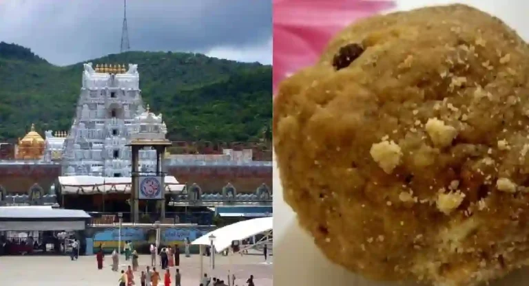 Tirupati laddu तील भेसळयुक्त तूपाची एसआयटीकडून चौकशी सुरू