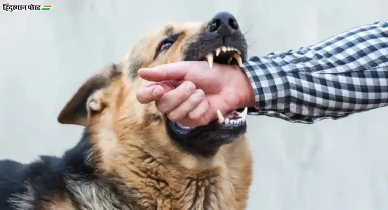 Dog Bite: कल्याणमध्ये गंभीर घटना; भटक्या कुत्र्यांच्या चाव्यामुळे २७ वर्षीय तरुणाचा मृत्यू