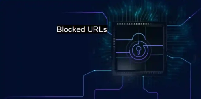 Blocked URLs : केंद्र सरकारने ब्लॉक केले २८ हजार URL; नेमकं कारण काय ?