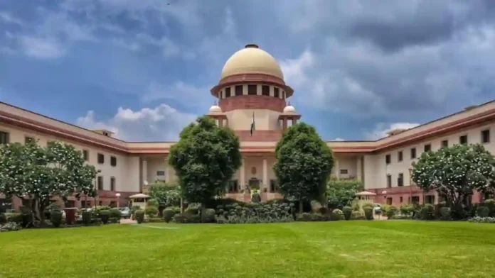 'आरे’तील आणखी झाडे तोडण्याचा विचार आहे का? Supreme Court चा सरकारला सवाल