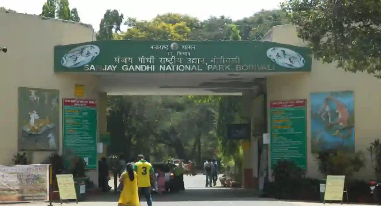 Sanjay Gandhi National Park ticket counter : संजय गांधी राष्ट्रीय उद्यानात प्रवेश मोफत आहे का?