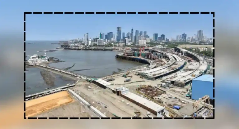 Sri Krishna Bridge Borivali : राष्ट्रीय उद्यानाला महापालिकेला द्यावे लागले ८० लाख रुपये