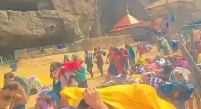 फटाक्यांमुळे मधमाशांचा भाविकांवर हल्ला; Ekvira Devi Temple मध्ये बंदी असूनही वाजवले फटाके