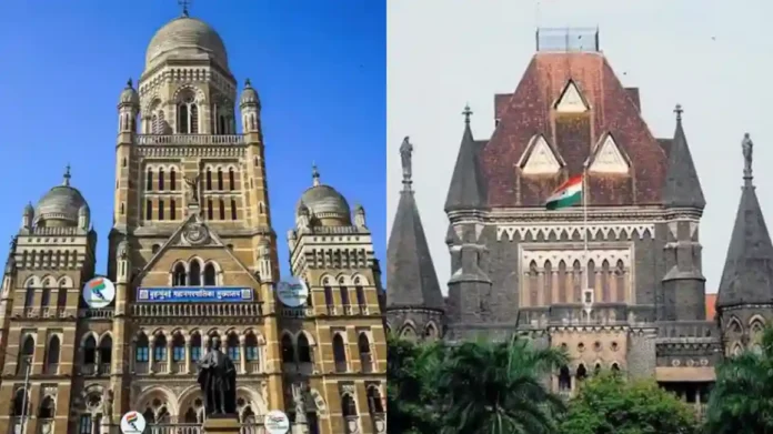 प्रदूषणाच्या पातळीत घट केव्हा होणार? Mumbai High Court ने मुंबई महापालिकेला घेतले फैलावर