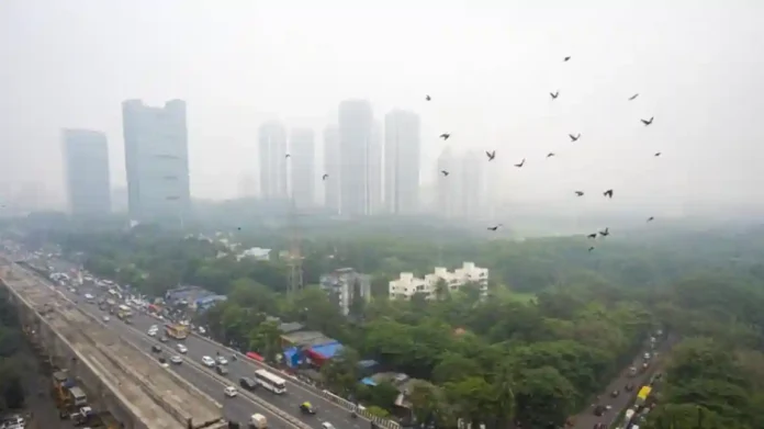 Maharashtra Weather : वातावरणातला गारठा वाढणार; राज्यात तापमान घसरण्याची शक्यता, हवामान विभागाचा अंदाज काय?