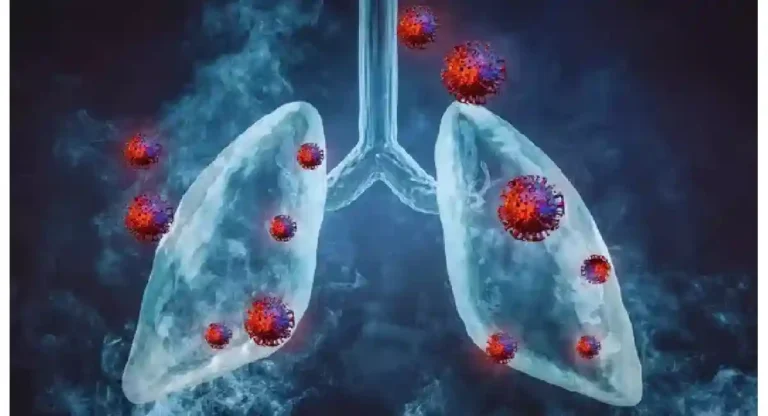 चीनमध्ये Metapneumovirus चे थैमान; नव्या वर्षात कोविड-१९च्या आठवणींनी भीतीचे वातावरण