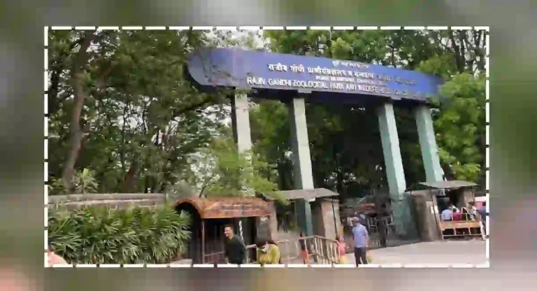 katraj snake park lake : १३ फूट लांब किंग कोब्रा पाहायचा असेल तर कात्रज स्नेक पार्कला अवश्य भेट द्या!