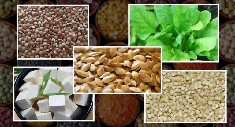 top 5 iron rich foods vegetarian : हे आहेत टॉप ५ शाकाहारी लोहयुक्त पदार्थ; ज्यामुळे राहता तुम्ही तंदुरुस्त