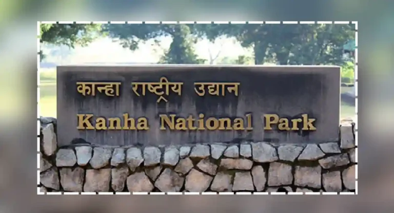 kanha national park : वाघ बघायचा आहे का? मग कान्हा राष्ट्रीय उद्यानाला भेट द्या; जाणून घ्या परिपूर्ण माहिती