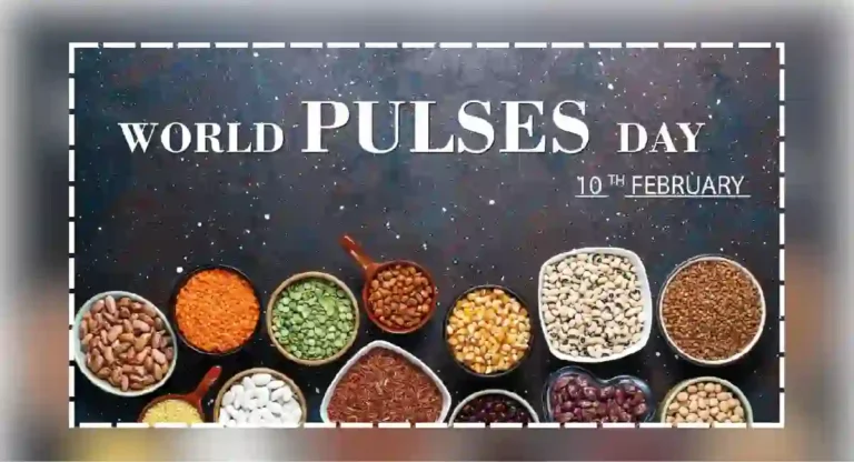 world pulses day : १० फेब्रुवारीला का साजरा केला जातो जागतिक कडधान्य दिन?