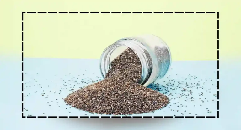 chia seeds benefits : चिया सिड्सचे हे टॉप ५ फायदे जाणून घ्या; हा चमत्कारिक पदार्थ तुमच्या जेवणात समाविष्ट करा