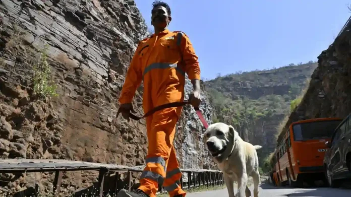 Telangana tunnel accident : बोगद्यात अडकलेल्या ८ कामगारांच्या बचावकार्यात आता श्वानपथकाची मदत