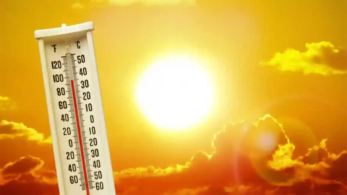 Heatwave : राज्यात फेब्रुवारीमध्येच उष्णतेची लाट ! IMD चा अंदाज काय?